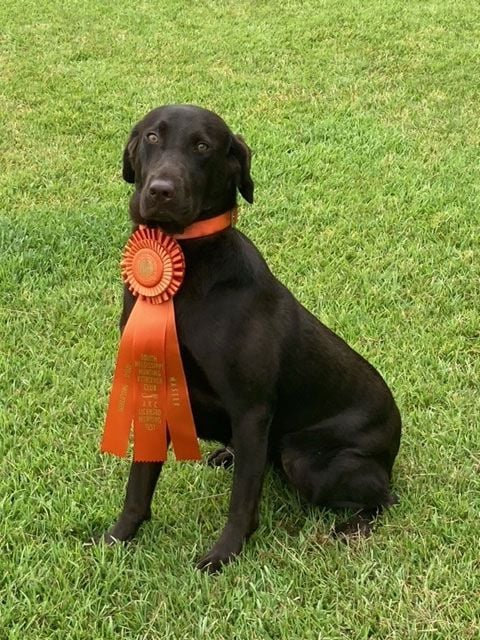 Gator Points Queen of the Plains SH<br>'Aubie'